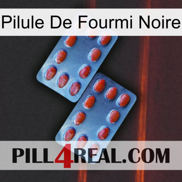 Black Ant Pill 05.jpg